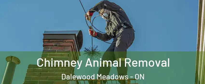  Chimney Animal Removal Dalewood Meadows - ON