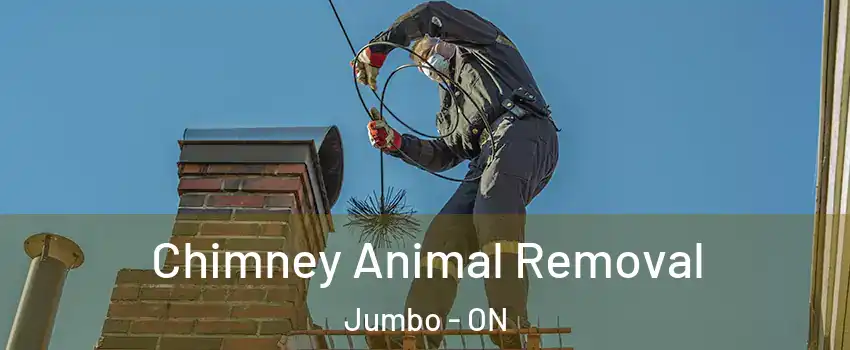  Chimney Animal Removal Jumbo - ON