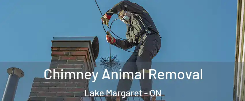  Chimney Animal Removal Lake Margaret - ON