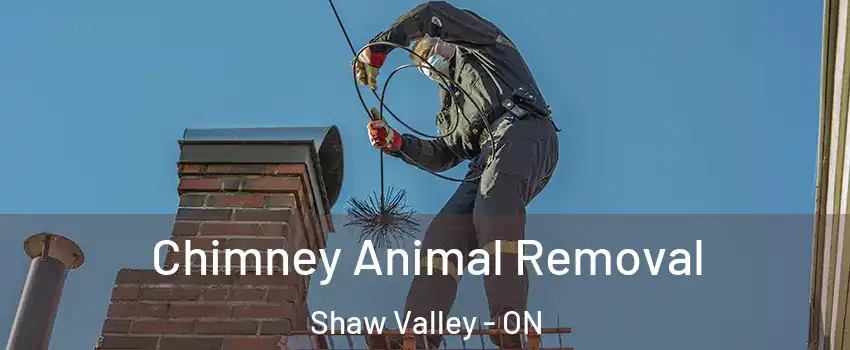  Chimney Animal Removal Shaw Valley - ON