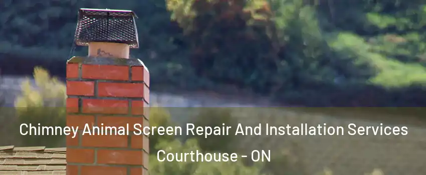  Chimney Animal Screen Repair And Installation Services Courthouse - ON