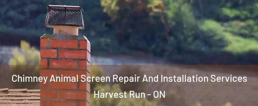  Chimney Animal Screen Repair And Installation Services Harvest Run - ON