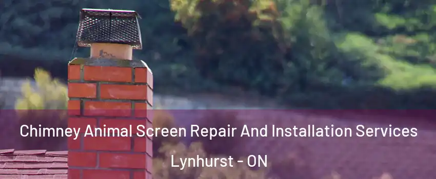  Chimney Animal Screen Repair And Installation Services Lynhurst - ON