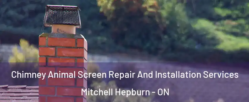  Chimney Animal Screen Repair And Installation Services Mitchell Hepburn - ON