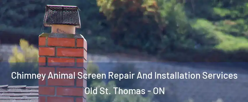  Chimney Animal Screen Repair And Installation Services Old St. Thomas - ON