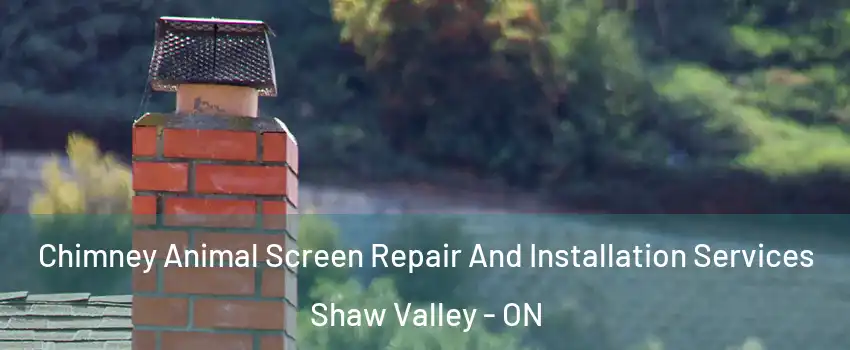  Chimney Animal Screen Repair And Installation Services Shaw Valley - ON