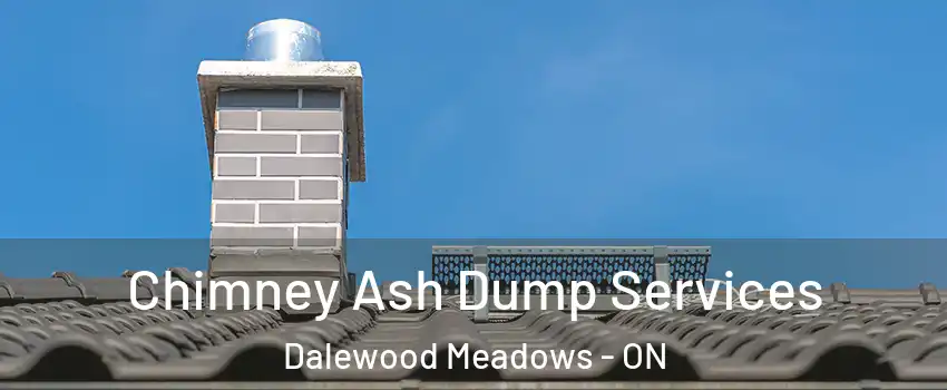  Chimney Ash Dump Services Dalewood Meadows - ON