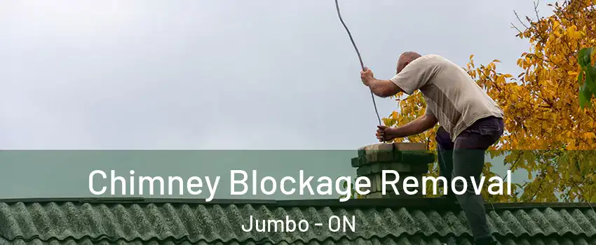  Chimney Blockage Removal Jumbo - ON