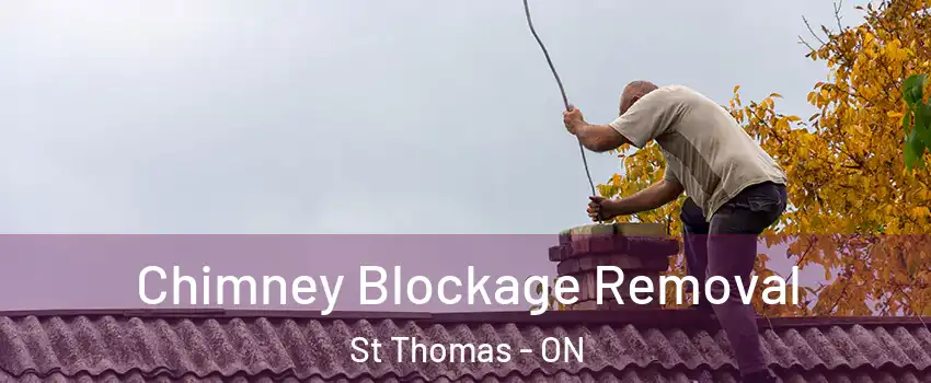  Chimney Blockage Removal St Thomas - ON