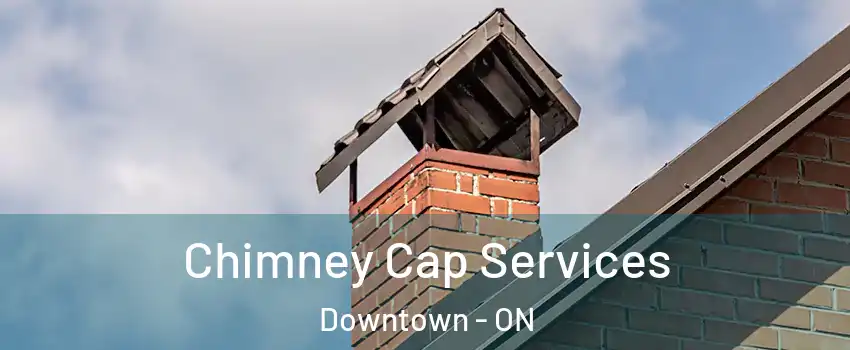  Chimney Cap Services Downtown - ON
