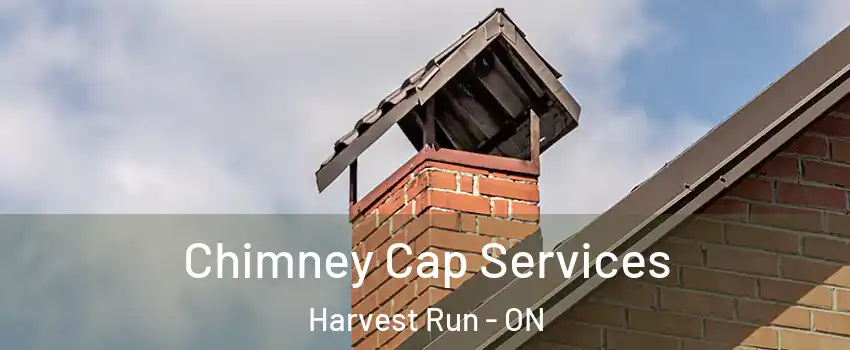  Chimney Cap Services Harvest Run - ON