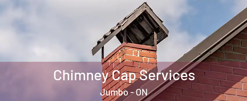  Chimney Cap Services Jumbo - ON