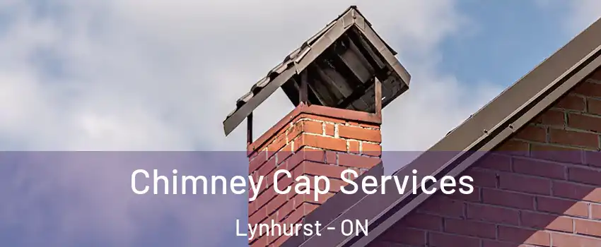  Chimney Cap Services Lynhurst - ON