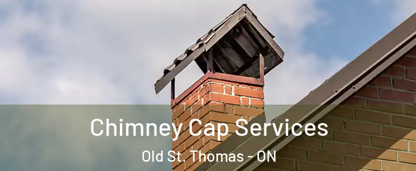  Chimney Cap Services Old St. Thomas - ON