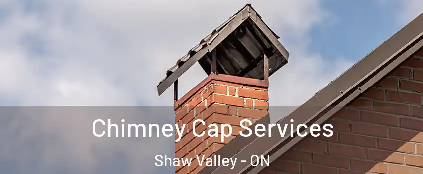  Chimney Cap Services Shaw Valley - ON
