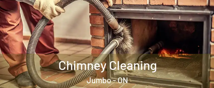  Chimney Cleaning Jumbo - ON