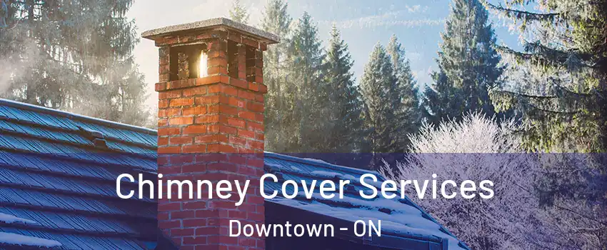  Chimney Cover Services Downtown - ON