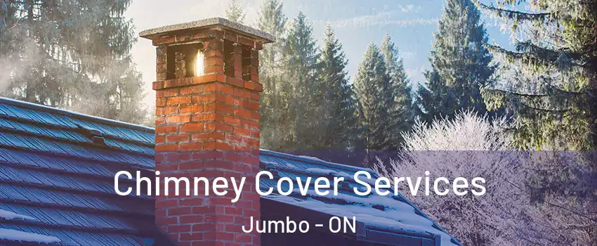  Chimney Cover Services Jumbo - ON