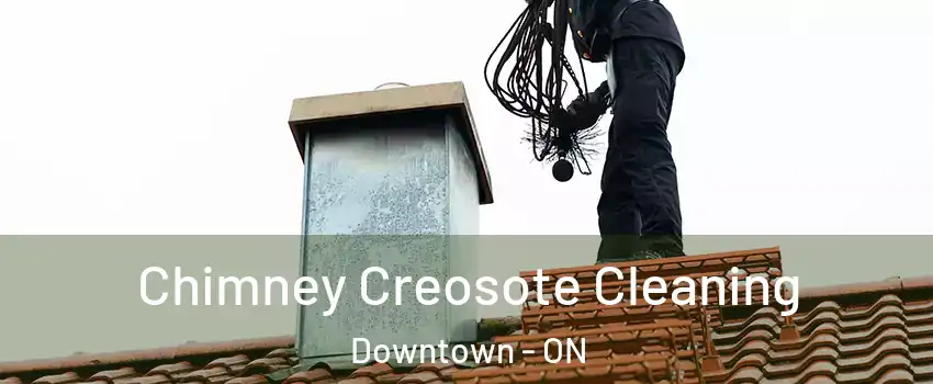  Chimney Creosote Cleaning Downtown - ON