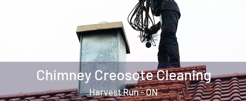  Chimney Creosote Cleaning Harvest Run - ON