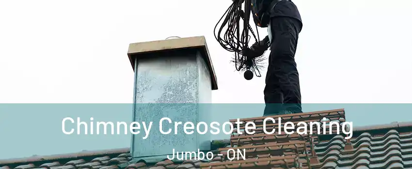  Chimney Creosote Cleaning Jumbo - ON