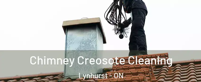  Chimney Creosote Cleaning Lynhurst - ON