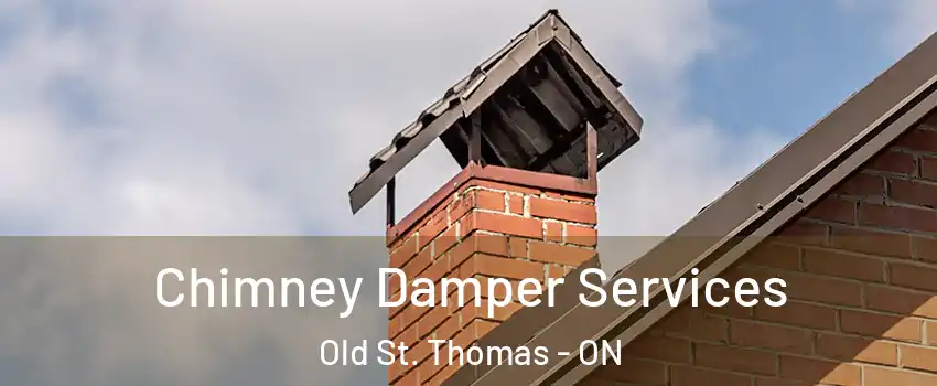 Chimney Damper Services Old St. Thomas - ON