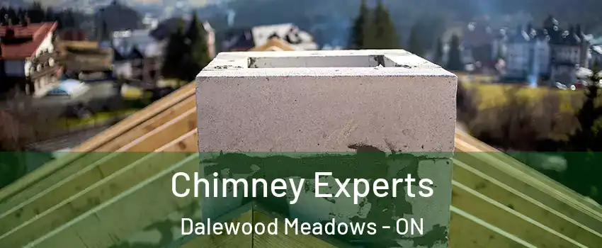  Chimney Experts Dalewood Meadows - ON