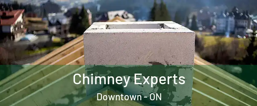  Chimney Experts Downtown - ON