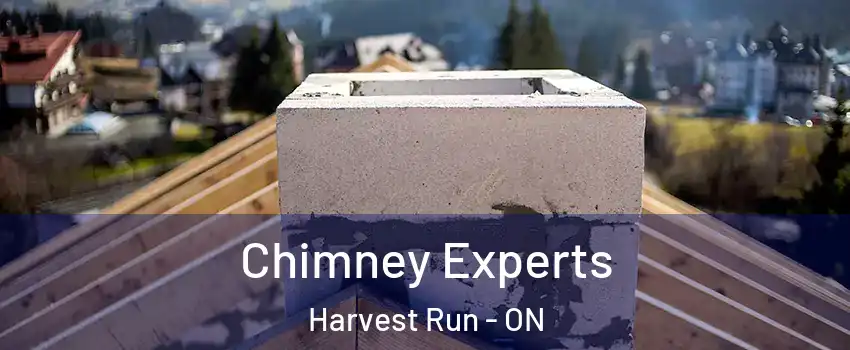  Chimney Experts Harvest Run - ON