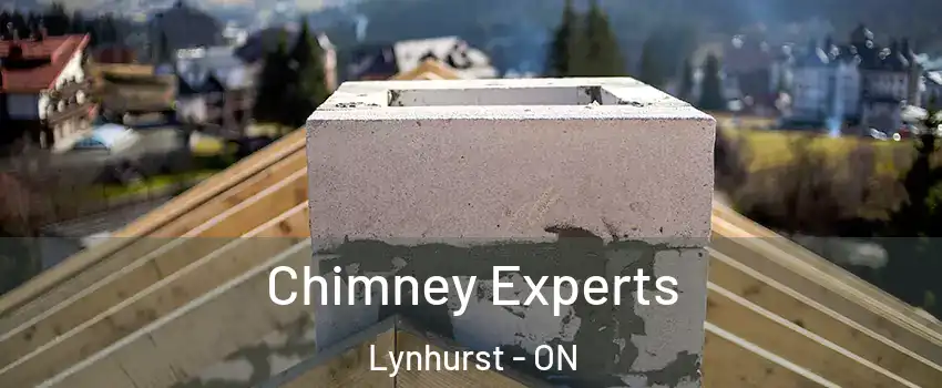 Chimney Experts Lynhurst - ON
