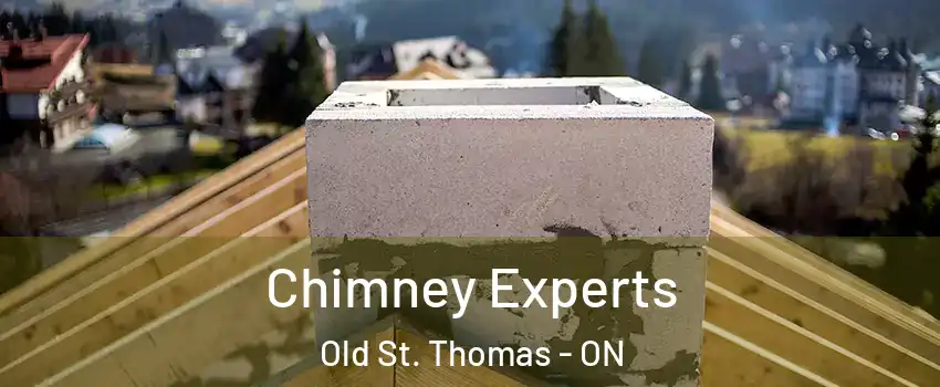  Chimney Experts Old St. Thomas - ON
