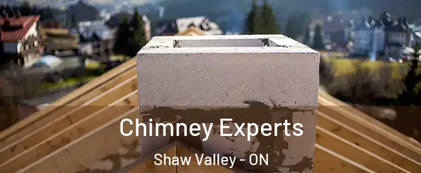  Chimney Experts Shaw Valley - ON