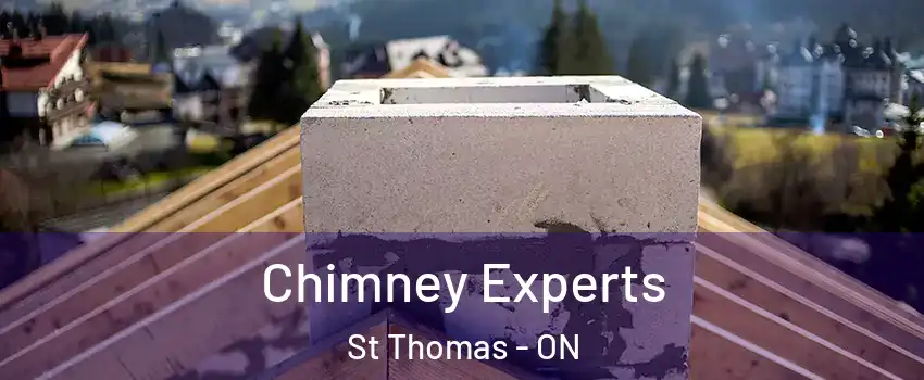  Chimney Experts St Thomas - ON