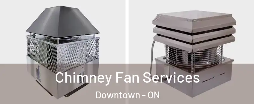  Chimney Fan Services Downtown - ON