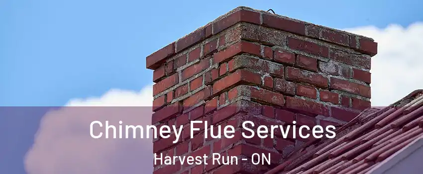 Chimney Flue Services Harvest Run - ON