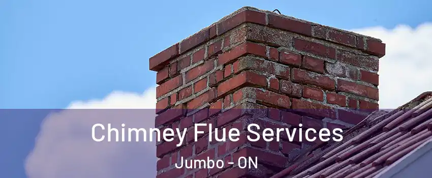  Chimney Flue Services Jumbo - ON