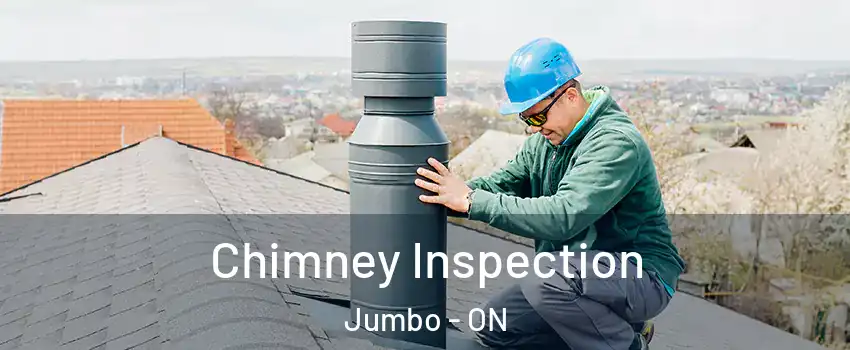  Chimney Inspection Jumbo - ON