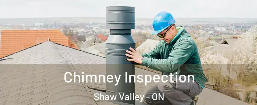 Chimney Inspection Shaw Valley - ON