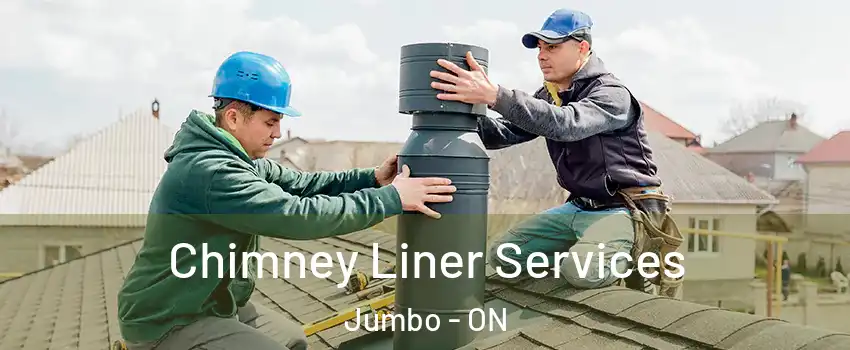  Chimney Liner Services Jumbo - ON