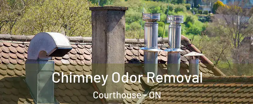  Chimney Odor Removal Courthouse - ON