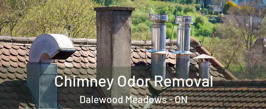  Chimney Odor Removal Dalewood Meadows - ON