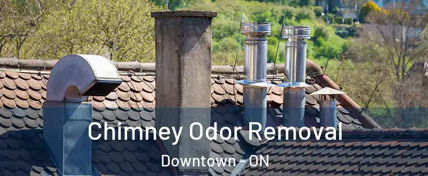  Chimney Odor Removal Downtown - ON