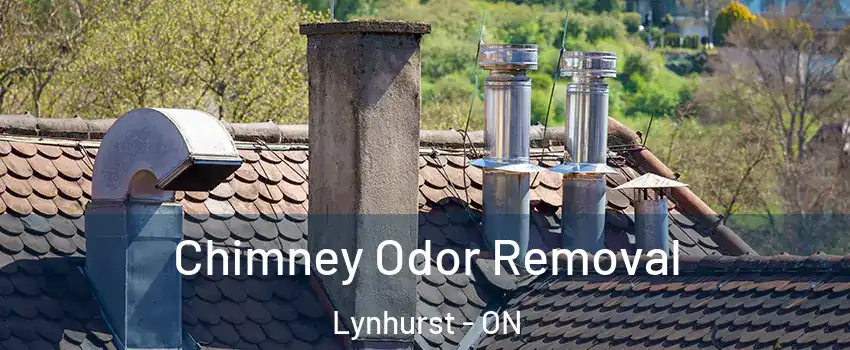  Chimney Odor Removal Lynhurst - ON