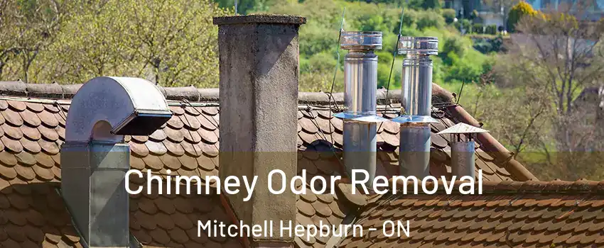  Chimney Odor Removal Mitchell Hepburn - ON