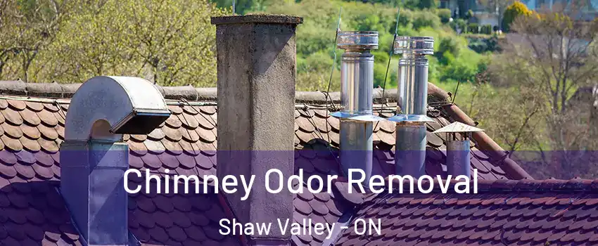  Chimney Odor Removal Shaw Valley - ON