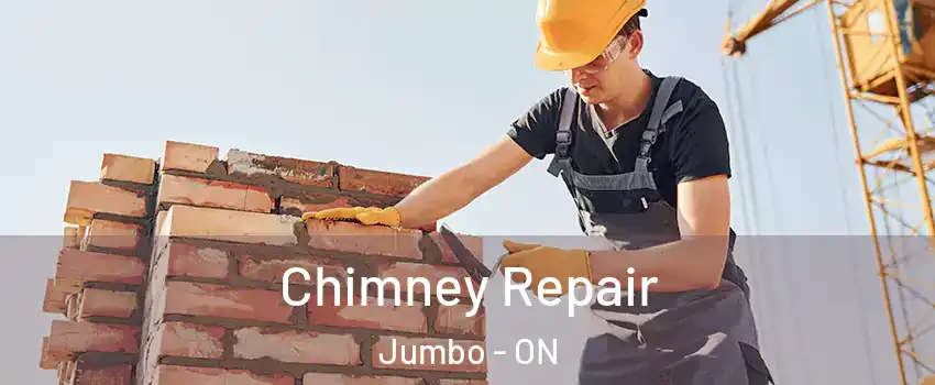 Chimney Repair Jumbo - ON