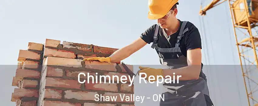  Chimney Repair Shaw Valley - ON