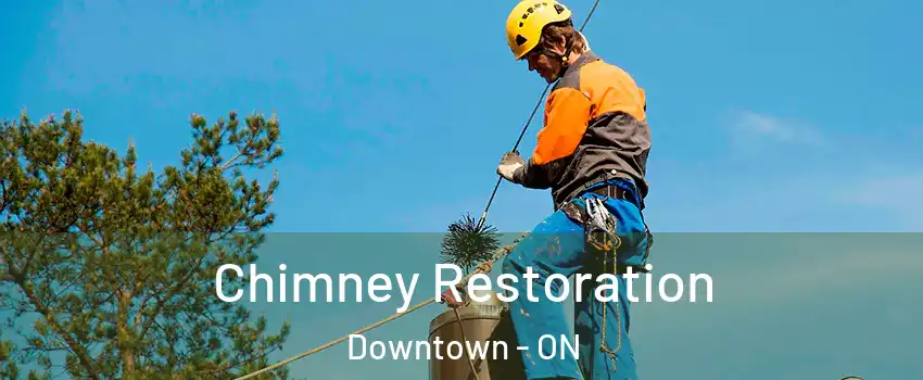  Chimney Restoration Downtown - ON