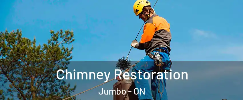  Chimney Restoration Jumbo - ON